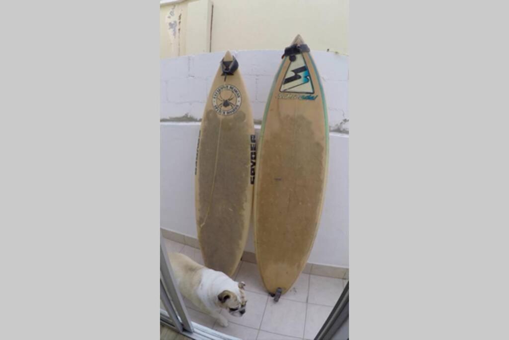 Surfboards Included In Your Stay!!! Tijuana Eksteriør bilde